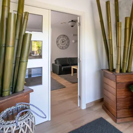 Foxos Playa de la Lanzada