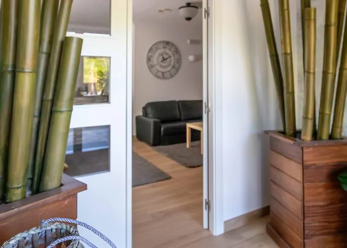 Foxos ألانثاذا